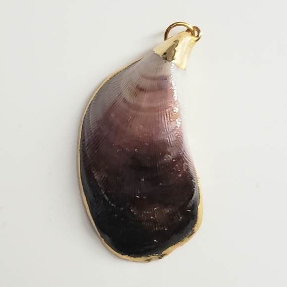 Seashell Pendant with Gold Edging. No Chain - Picture 5 of 6